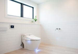 Smart toilet installation Canton GA bathroom remodel - heated seat bidet automatic flush i-Renovate